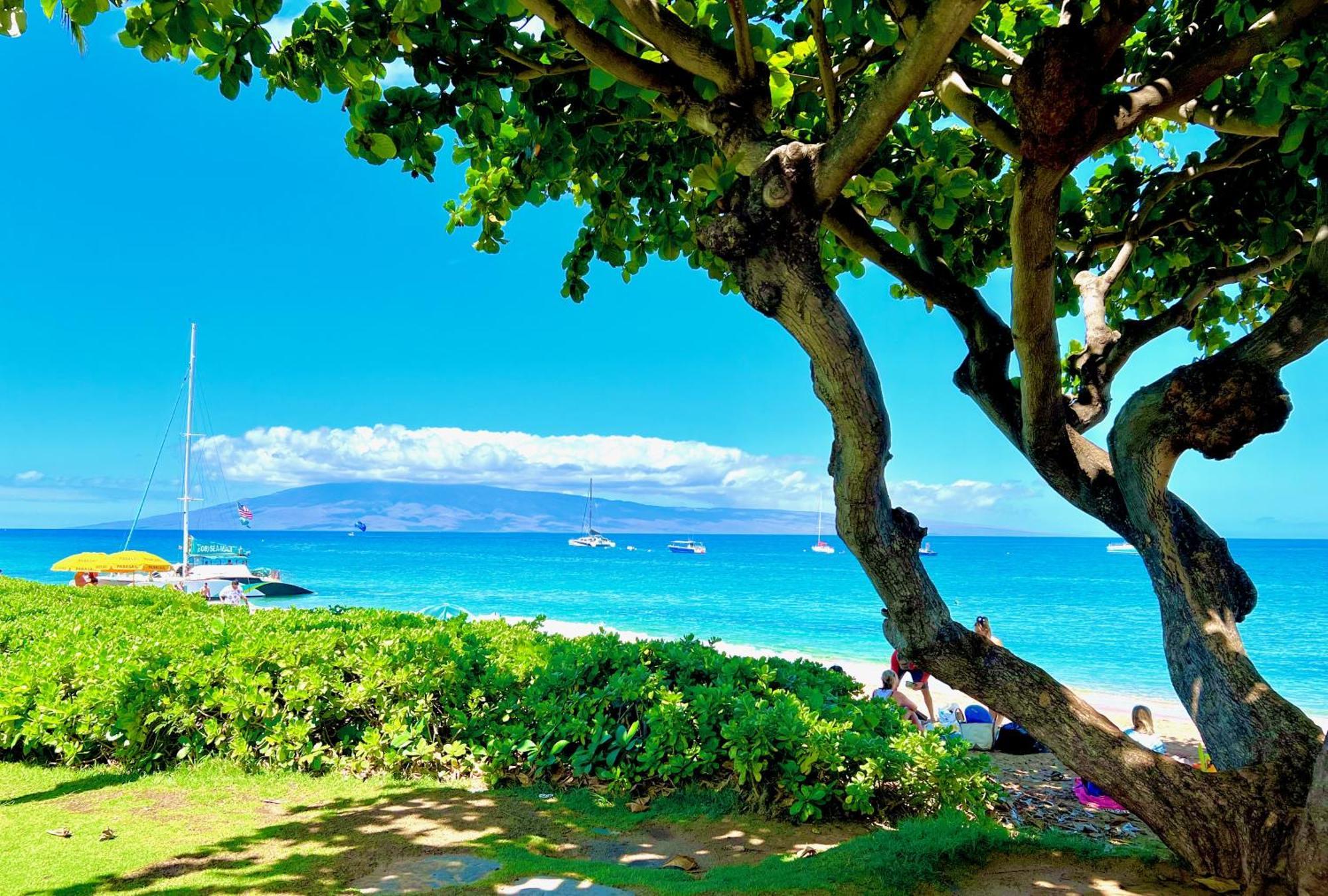 Kaanapali'S Royal Luxury Plantation Beach & Golf Estate المظهر الخارجي الصورة